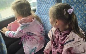 Krasnale w lesie (12)