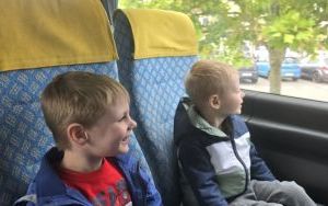 Krasnale w lesie (11)