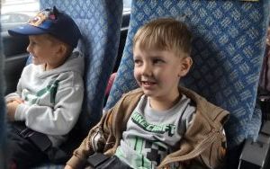 Krasnale w lesie (10)