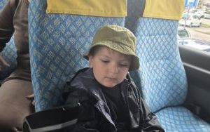 Krasnale w lesie (7)