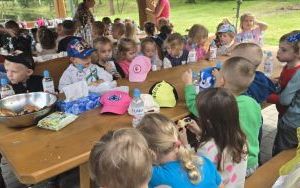 Krasnale w lesie (4)
