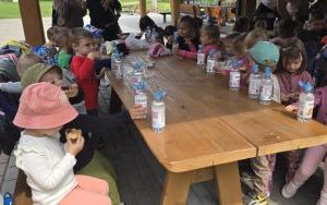 Krasnale w lesie (3)