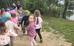 Krasnale w lesie (1)