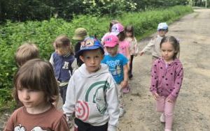Krasnale w lesie (11)