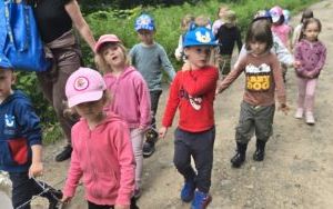 Krasnale w lesie (10)