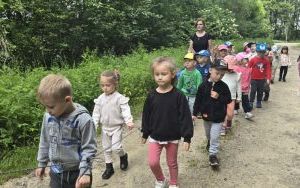 Krasnale w lesie (9)