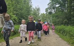 Krasnale w lesie (8)