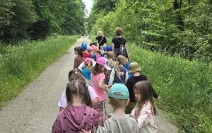 Krasnale w lesie (7)