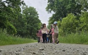 Krasnale w lesie (6)