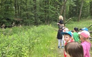 Krasnale w lesie (5)