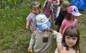 Krasnale w lesie (4)