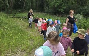 Krasnale w lesie (3)