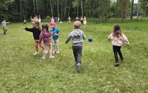 Krasnale w lesie (9)