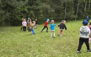 Krasnale w lesie (8)