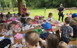 Krasnale w lesie (1)