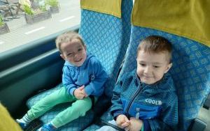 Smerfy na wycieczce w lesie (11)