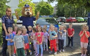 Motoryzacyjna niespodzianka u Krasnali (6)