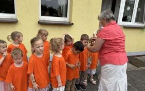 Czerwcowe Przygody Misiów (1)