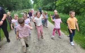 Pszczółki (6)