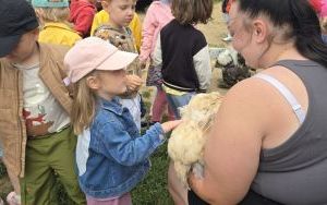 Krasnale z wizytą u alpak (8)