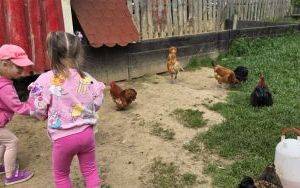 Krasnale z wizytą u alpak (5)