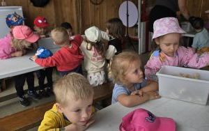 Krasnale z wizytą u alpak (11)