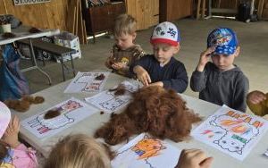 Krasnale z wizytą u alpak (16)