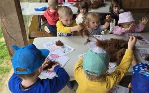 Krasnale z wizytą u alpak (14)