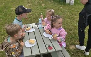 Krasnale z wizytą u alpak (5)