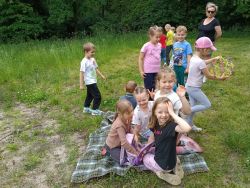 Słoneczka w lesie (1)