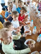 Słoneczka w lesie (2)