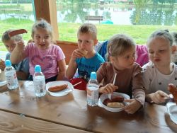 Słoneczka w lesie (3)