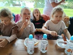 Słoneczka w lesie (4)