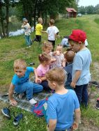 Słoneczka w lesie (5)
