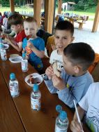 Słoneczka w lesie (6)