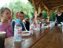 Słoneczka w lesie (9)