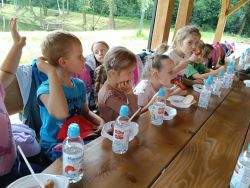 Słoneczka w lesie (10)