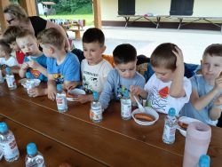 Słoneczka w lesie (11)