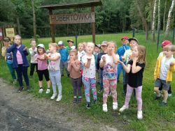 Słoneczka w lesie (16)