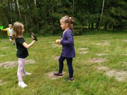 Słoneczka w lesie (2)