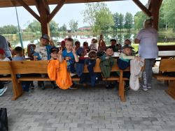 Słoneczka w lesie (10)