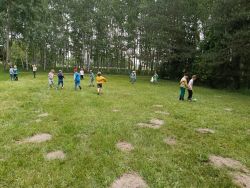 Słoneczka w lesie (11)