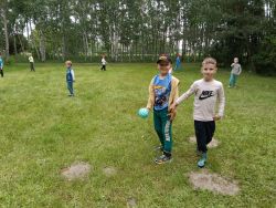 Słoneczka w lesie (12)