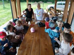 Słoneczka w lesie (14)