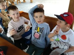 Słoneczka w lesie (15)