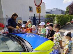 Słoneczka poznają pracę kierowcy ciężarówki (10)
