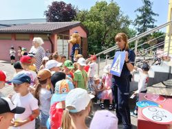 Słoneczka poznają pracę kierowcy ciężarówki (1)