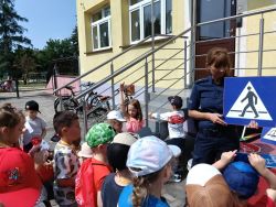 Słoneczka poznają pracę kierowcy ciężarówki (3)