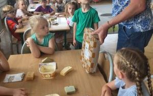 Pszczółki tworzą kotka z gliny (11)
