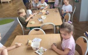 Pszczółki tworzą kotka z gliny (4)